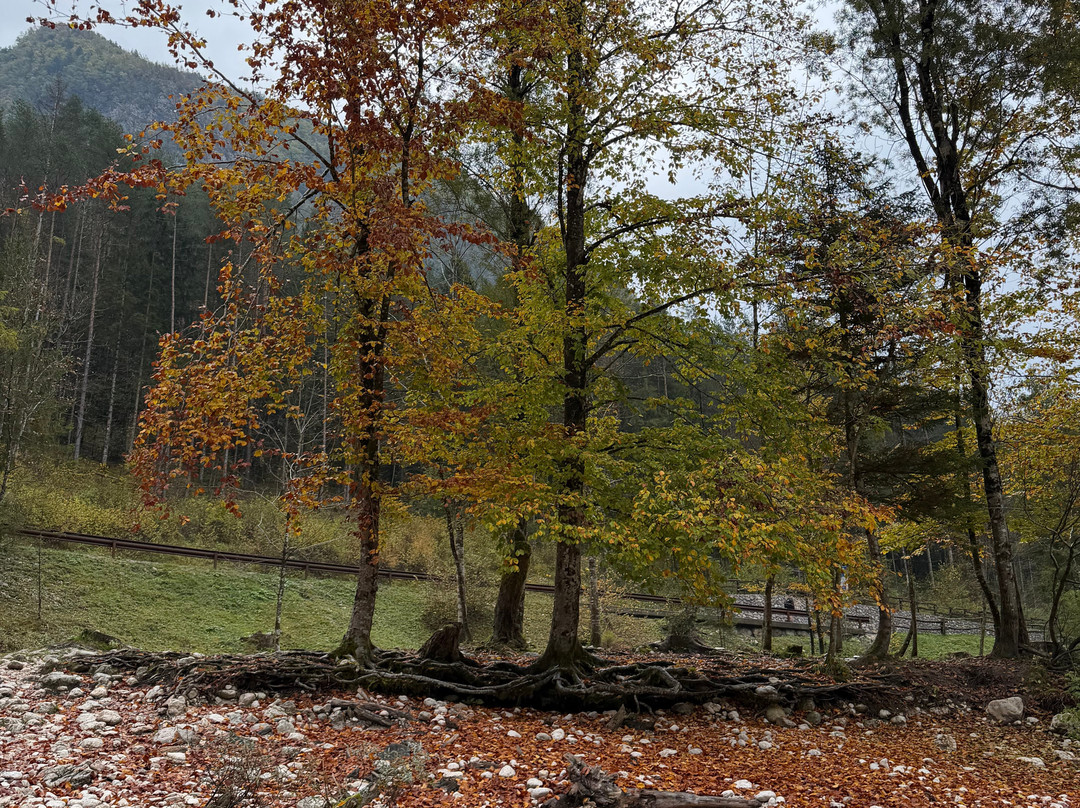 Triglav National Park-布莱德必去景点