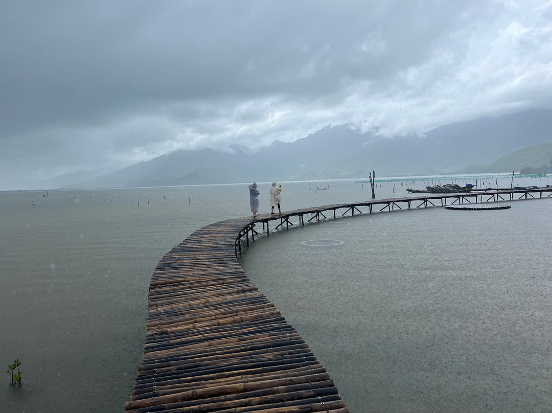 The Lagoon 2