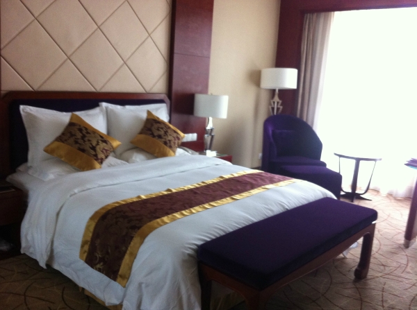 汇华花园酒店-客卧