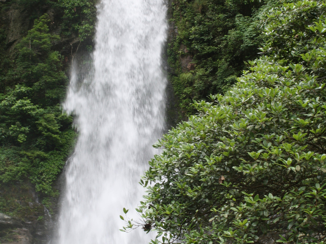 政和县旅游景点-南平湛庐山