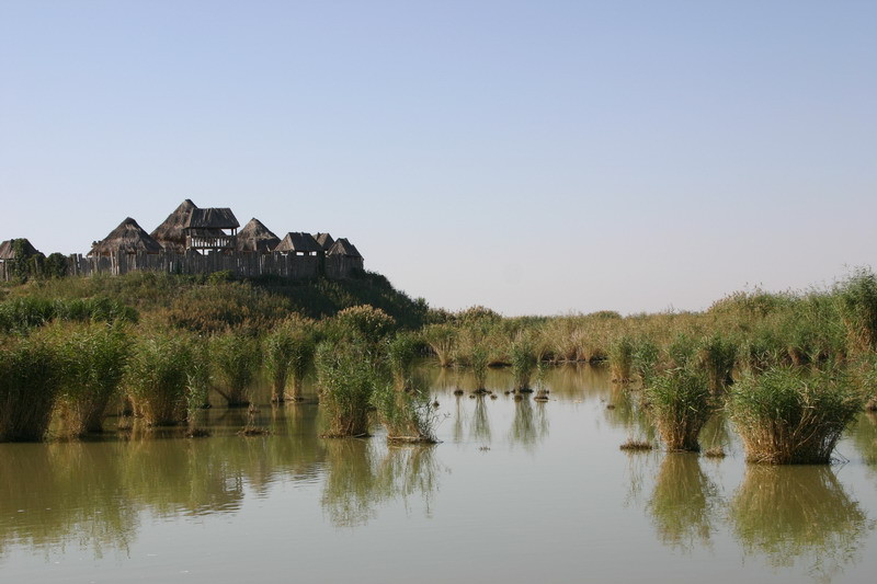 沙湖生态旅游区景点图片