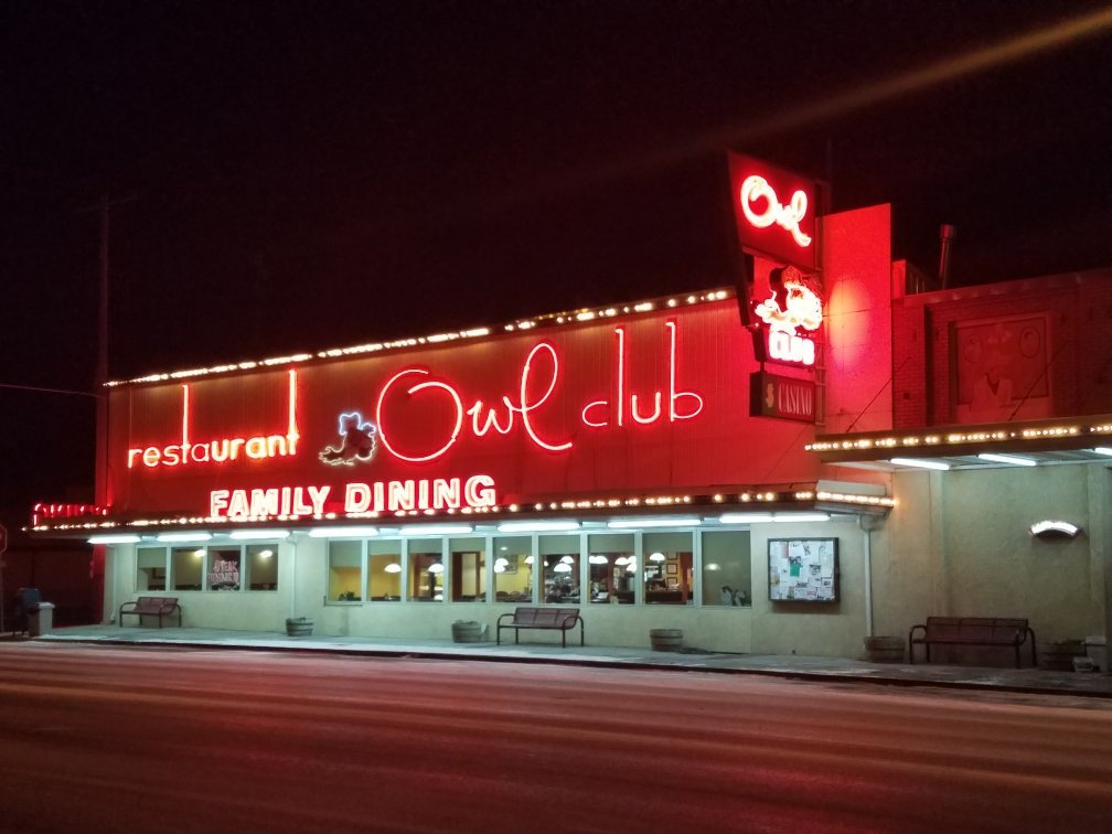 Owl Motel-官方