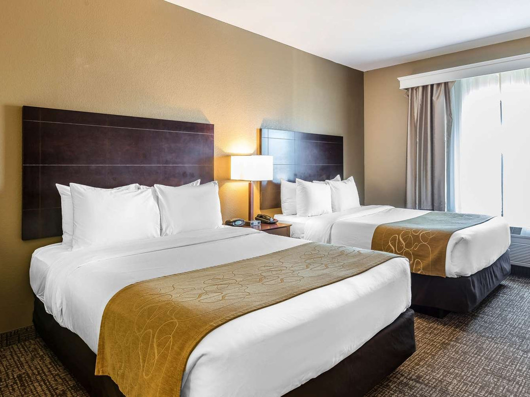 Comfort Suites North主图