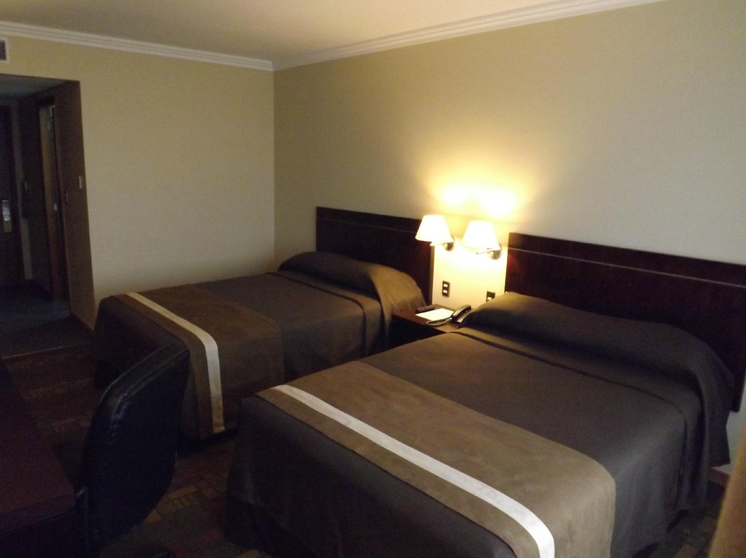 特木科酒店住宿-Hotel Diego de Almagro Temuco