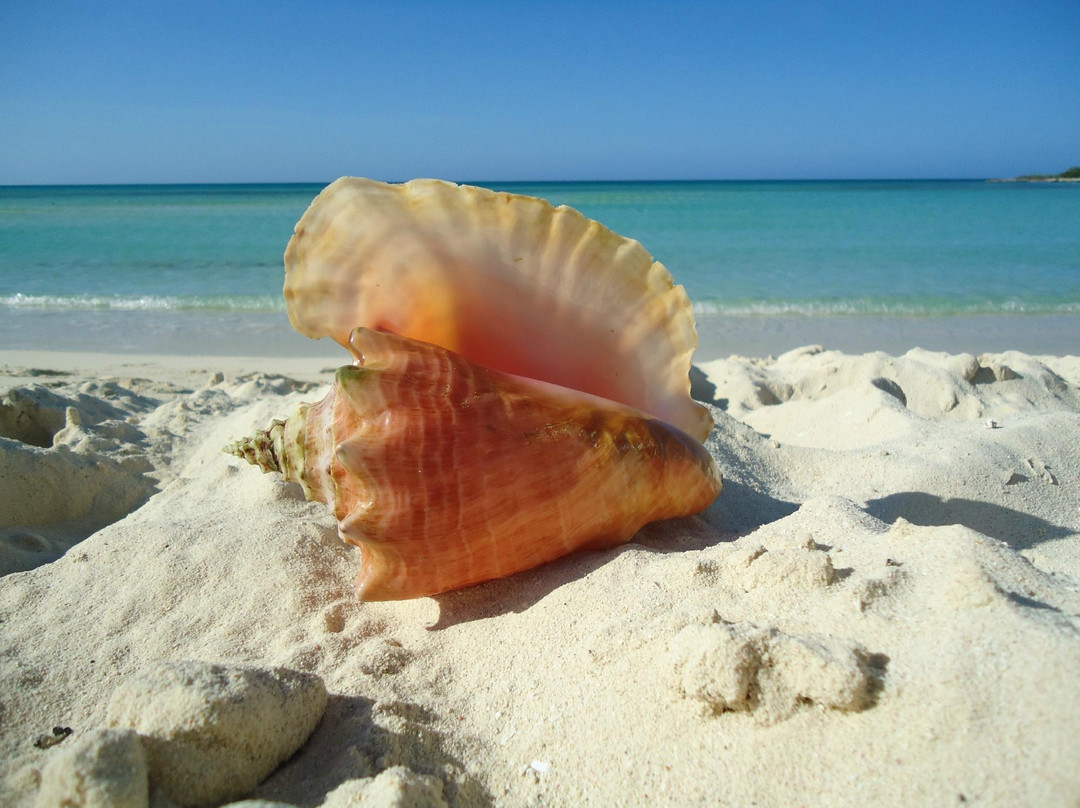 Manati酒店住宿-Hotel Brisas Covarrubias