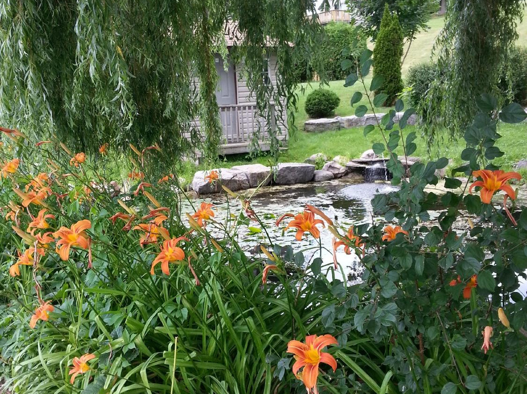 Otonabee-South Monaghan旅游攻略图片