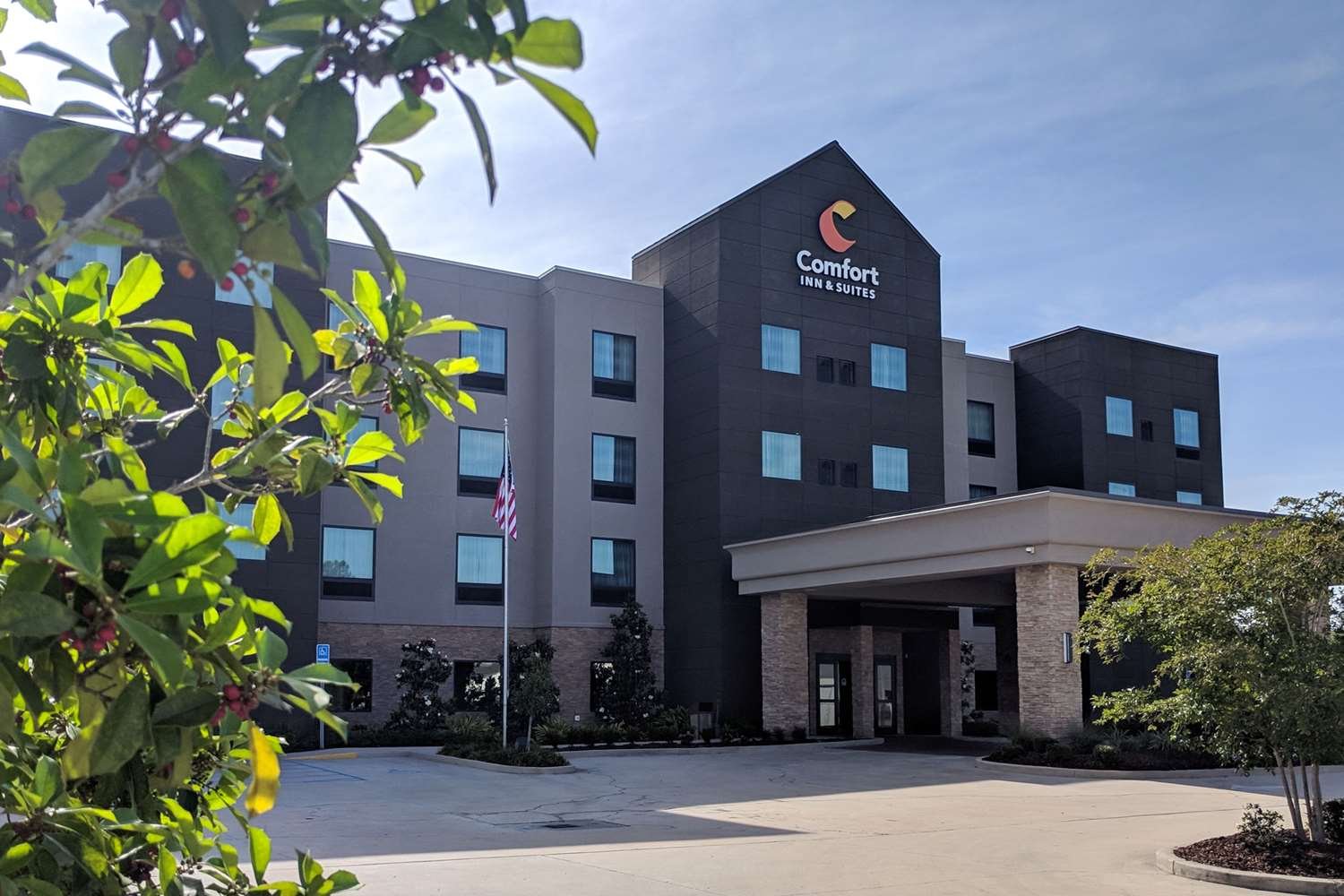 Comfort Inn & Suites-官方