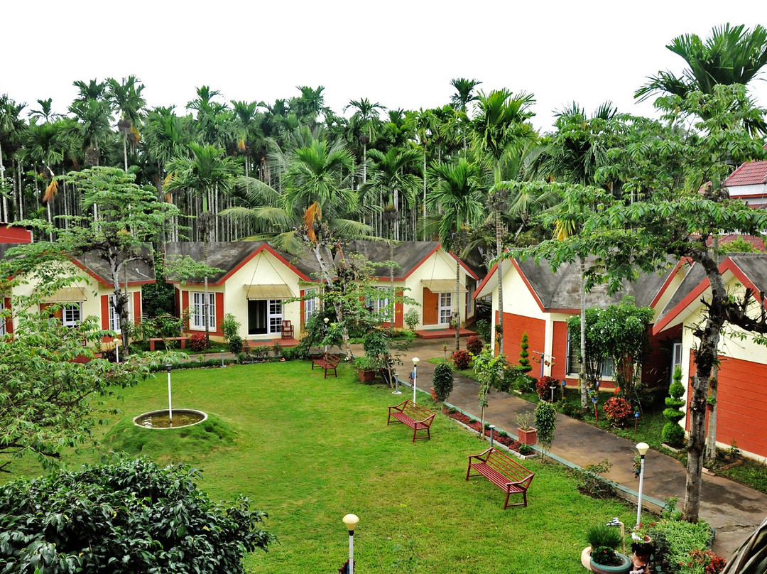 The Casiita