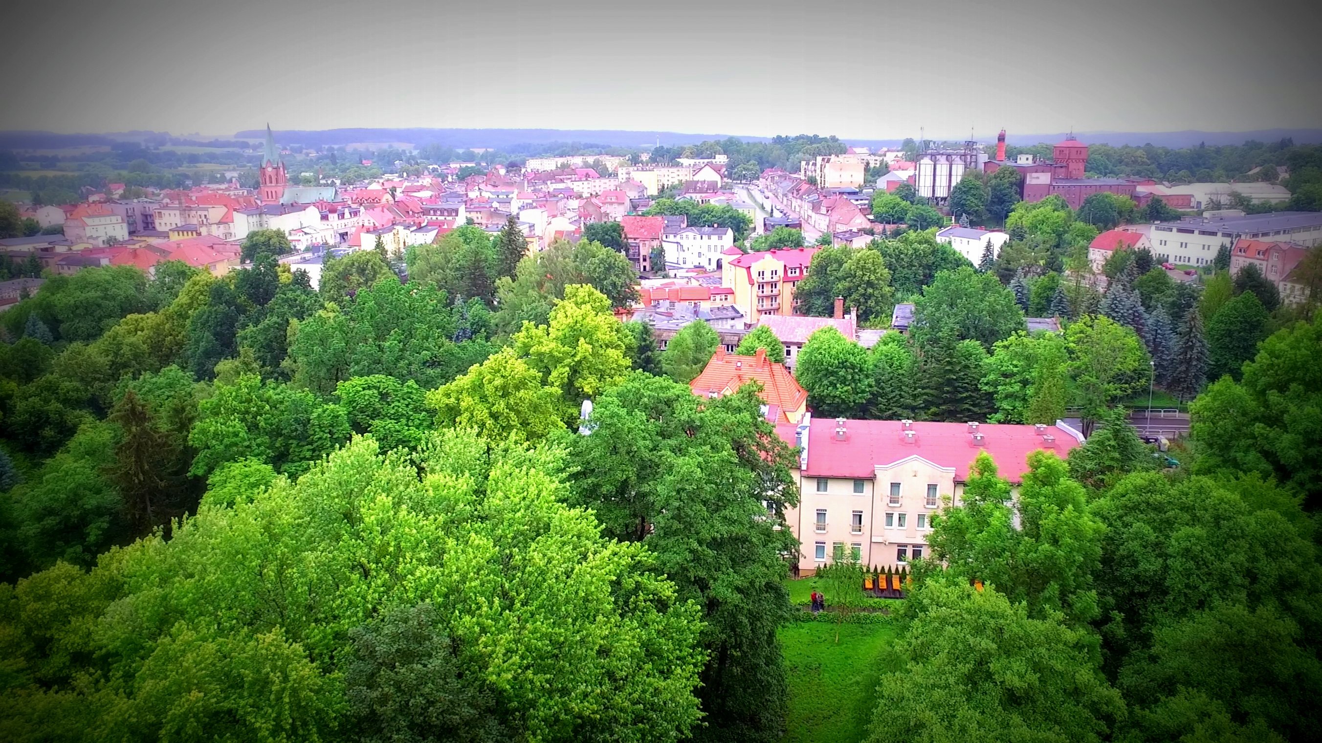 Marta Sanatorium-官方