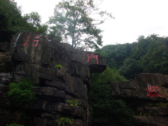 哀牢山国家级自然保护区