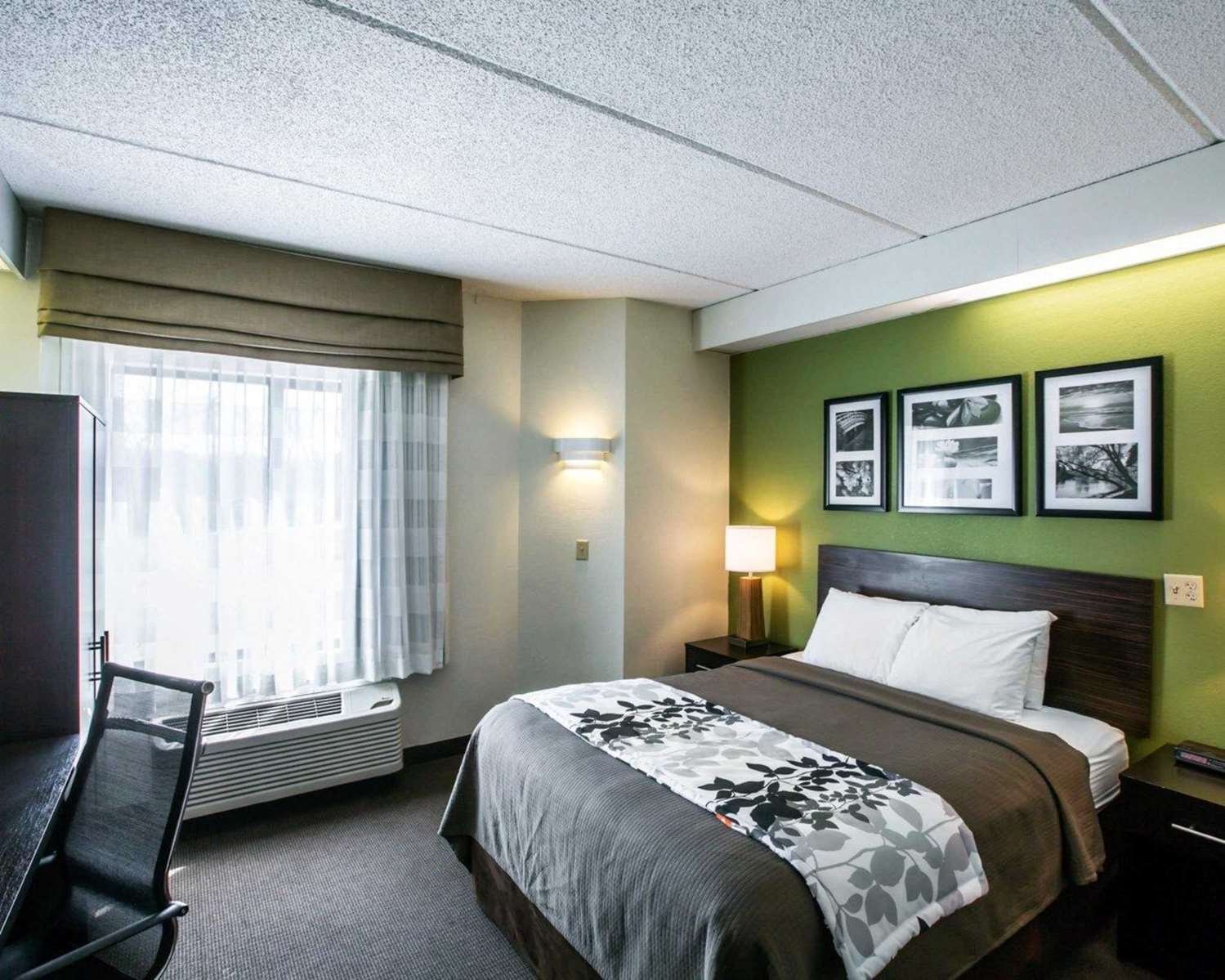 Clarion Pointe-官方