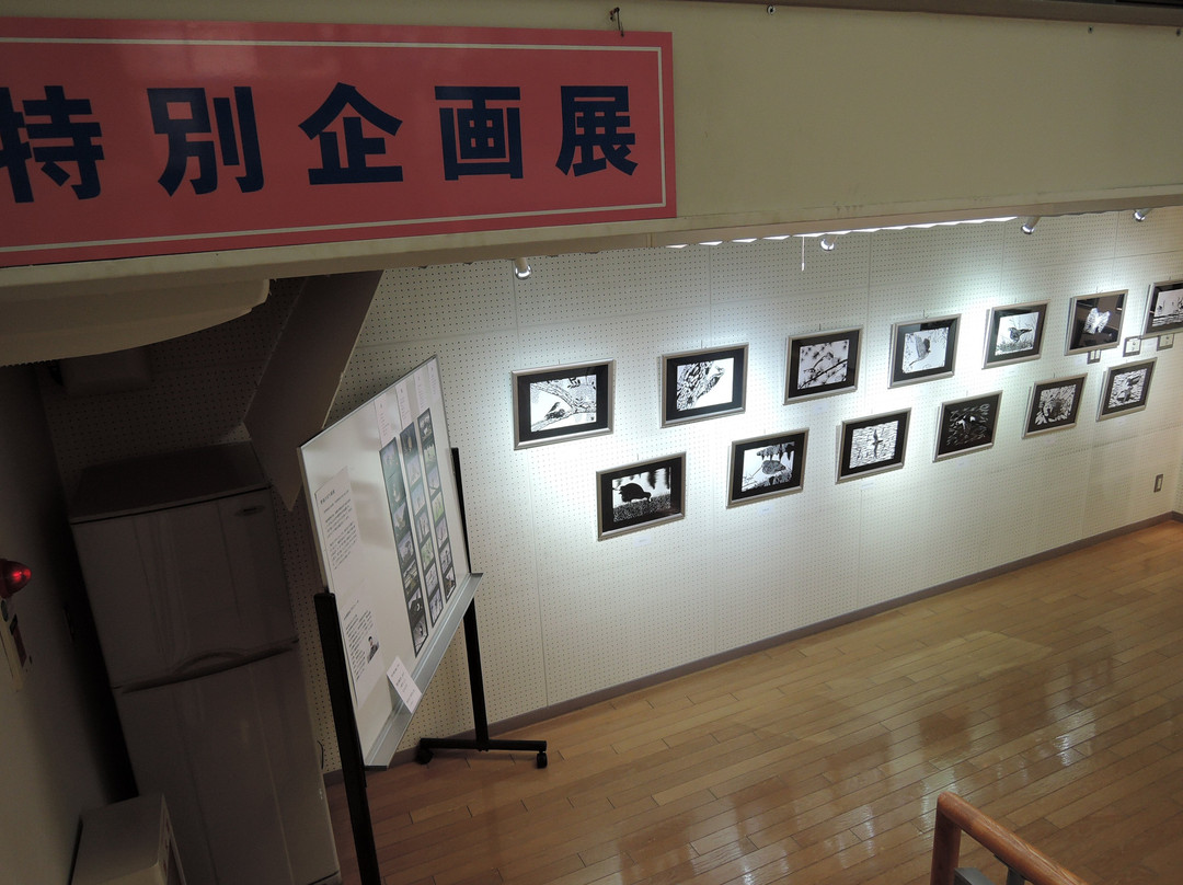 Nature Museum