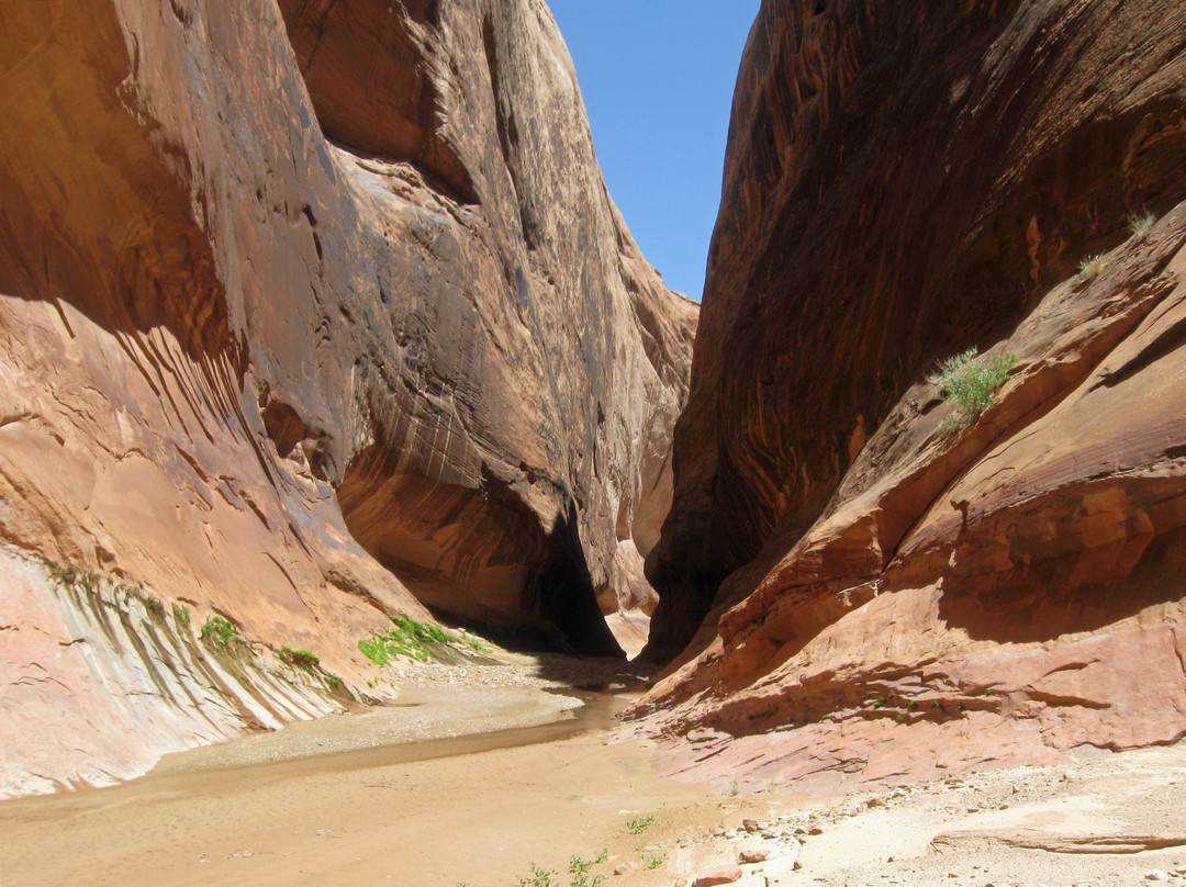 Halls Creek Narrows-圆顶礁国家公园必去景点