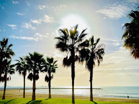 Olias酒店住宿-莫斯卡特尔旅馆