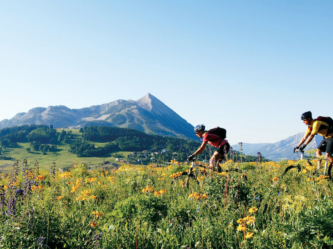 Grand Lodge Crested Butte Hotel & Suites主图