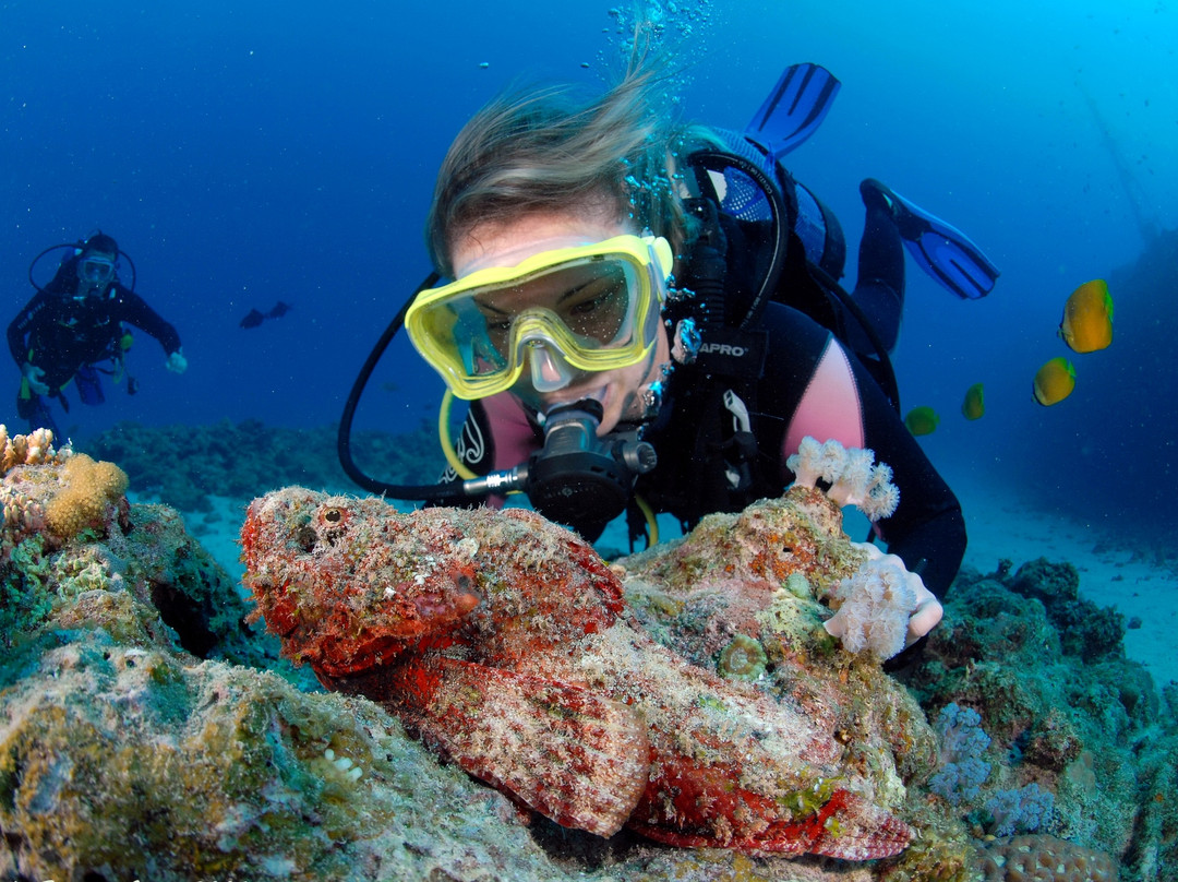 Dive Passion Mauritius-卓得多斯必去景点