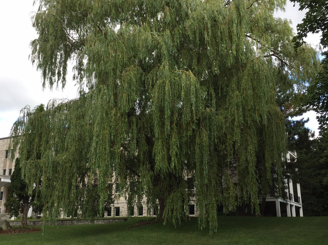 Abbaye Cistercienne de Rougemont景点图片