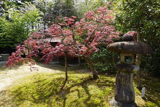 Tenshinji Temple Shookaku景点图片