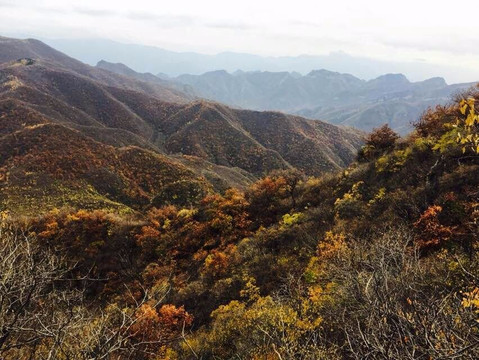 涿鹿县旅游景点-黄草梁自然风景区