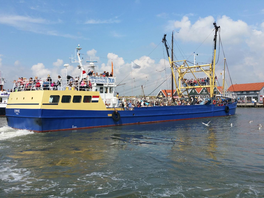 TX35 De Zeester - Boat Tour-Oudeschild必去景点