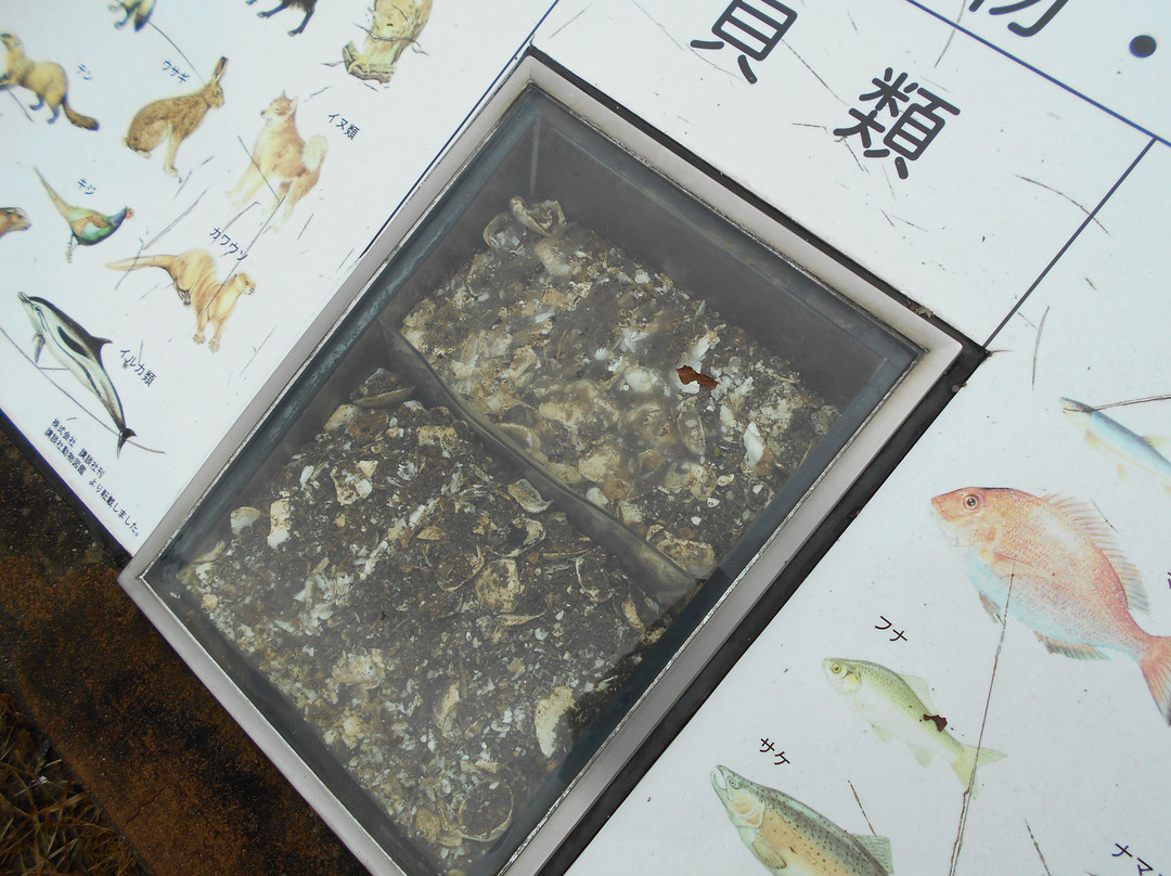 Kamiyamada Kaizuka景点图片