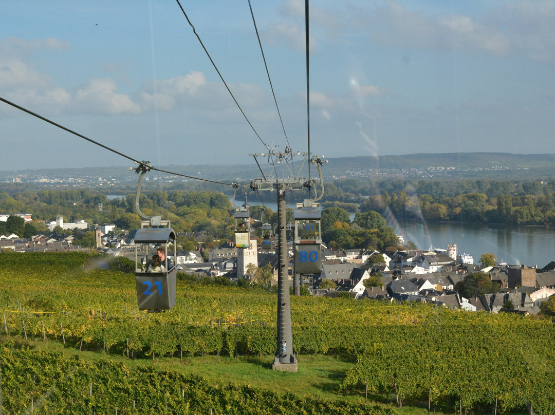 Seilbahn Rudesheim景点图片