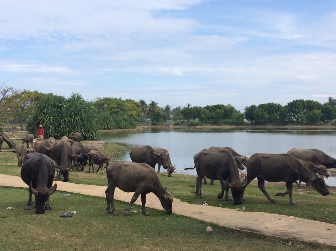Roy & Kurit Surf-Gerupuk必去景点