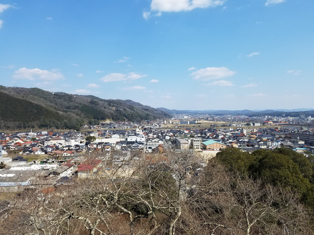Ozekiyama Park景点图片