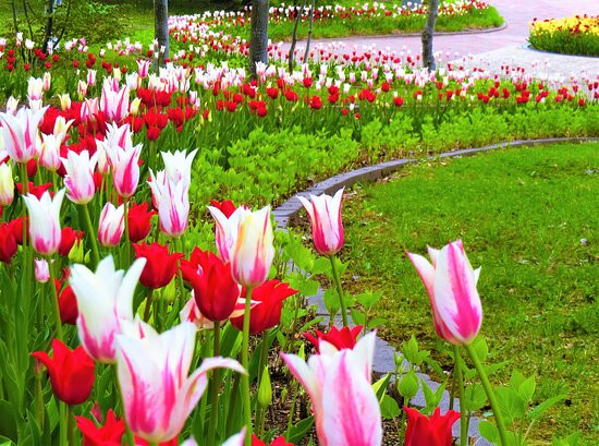 Sunagawa Service Area Inbound-砂川市必去景点