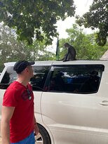 Unique Zanzibar Taxi-桑给巴尔市必去景点