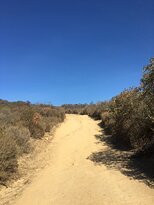 Laguna Coast Wilderness Park-拉古纳海滩必去景点