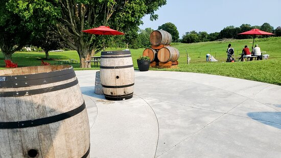 Modales Wines景点图片