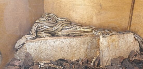 Museo di Storia Naturale del Salento-Calimera必去景点