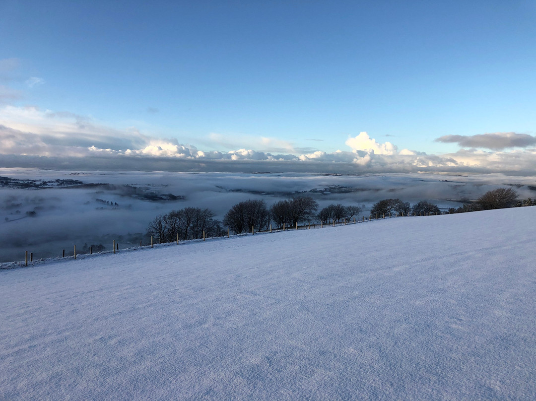 Pantyfod Gardens-Tregaron必去景点