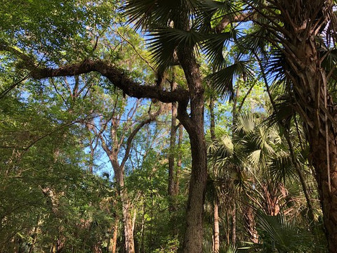Morris Bridge Park-Thonotosassa必去景点