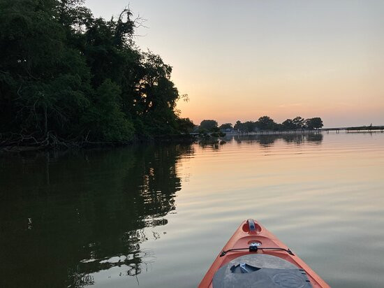 Blackwater Adventures-坎布里奇必去景点