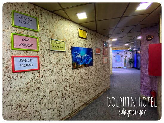 Dolphin Hotel & Hostel Sulaymaniyah主图