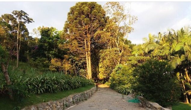 Pousada Canto dos Passaros主图