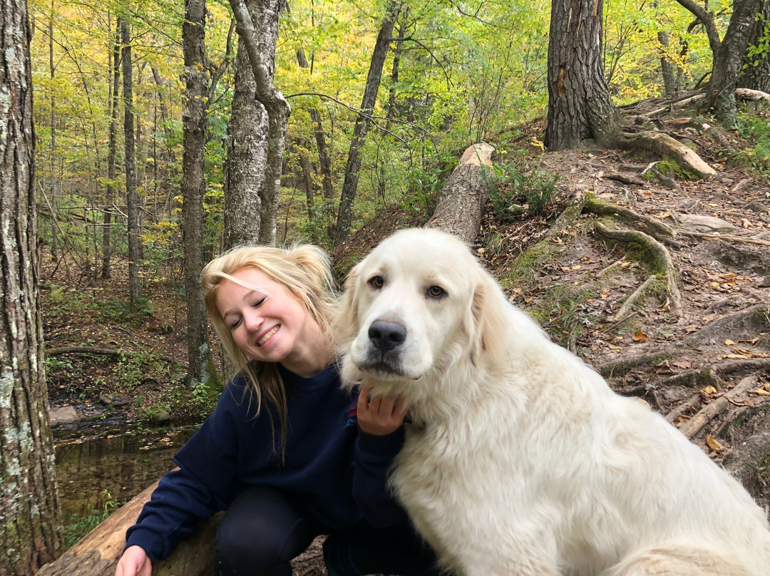 Standing Cedars State Natural Area-Osceola必去景点
