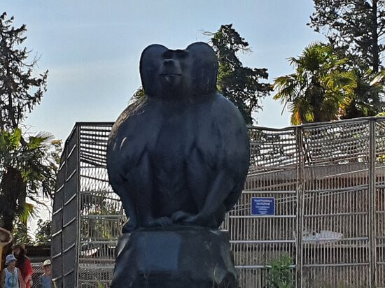Sukhumi Monkey Nursery-Sukhumi必去景点