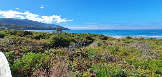 The Whale Trail Eaglehawk Neck Lookout-伊格尔霍克内克必去景点