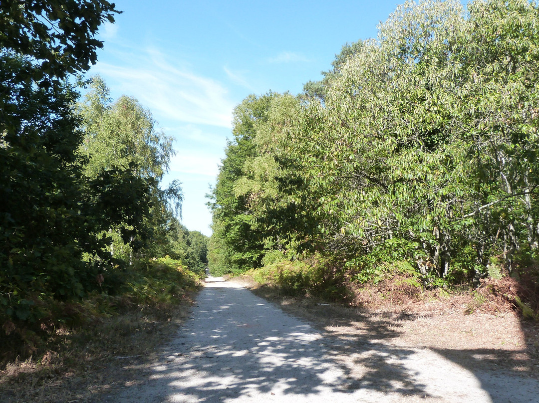 Belvédère Des Caillettes-Nibelle必去景点