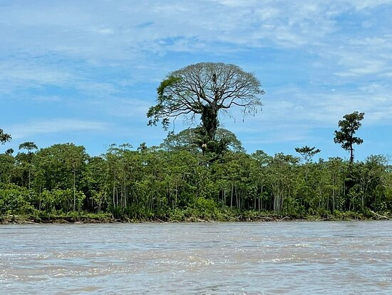 Napo River-Cotopaxi Province必去景点