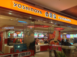Gallery 1