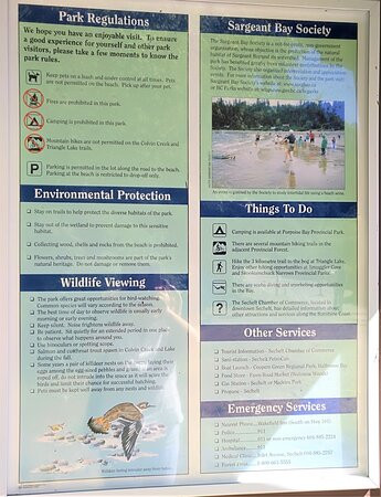 Sargeant Bay Provincial Park-Halfmoon Bay必去景点