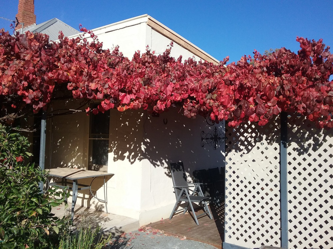 Cherry Tree Lodge Bed Breakfast主图
