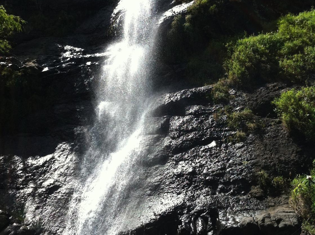Golodog Panto Waterfall景点图片