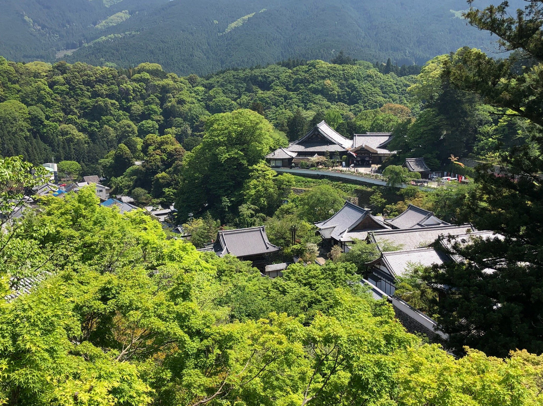 樱井市旅游攻略图片