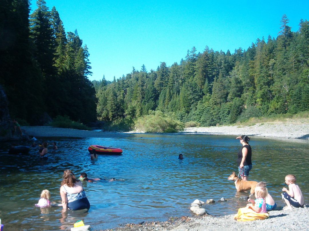 Richardson Grove State Park景点图片