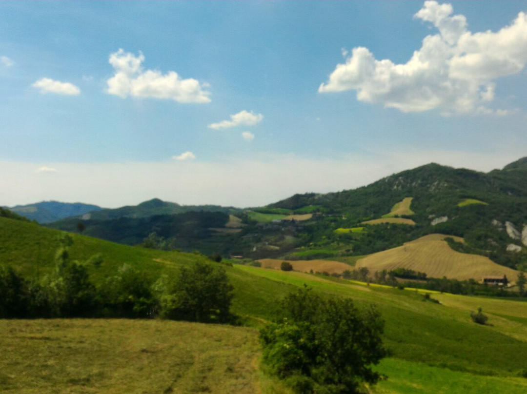 Ponte Nizza旅游攻略图片